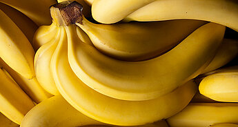 O odrůdě banánu HiPP: druhy