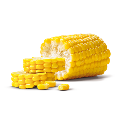 Kukuřice
